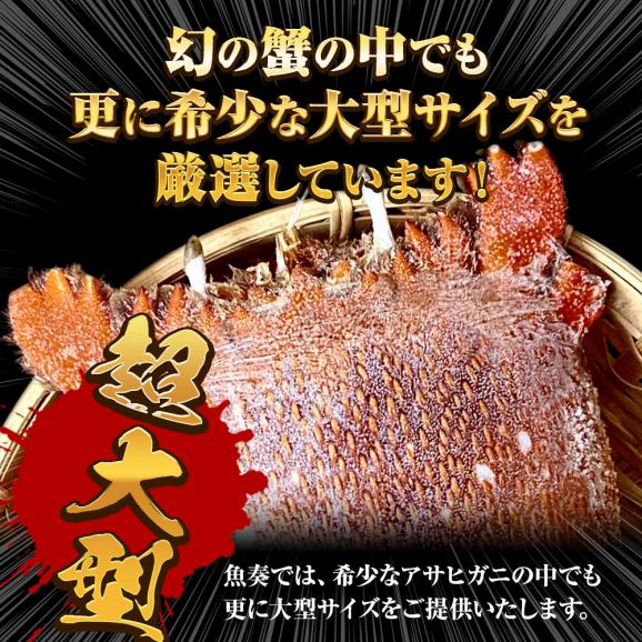 あさひがに 1尾 約600～700g 生冷凍 旭蟹 朝日蟹 アサヒガニ かに カニ 蟹 送料無料04