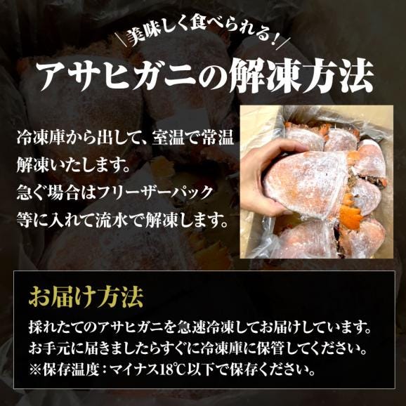 あさひがに 1尾 約600～700g 生冷凍 旭蟹 朝日蟹 アサヒガニ かに カニ 蟹 送料無料05