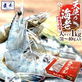 天使の海老 大サイズ1kg 海鮮 有頭 食べごろサイズ お取り寄せ お試し 世界最高品質 刺身 生食 高級 BBQ
