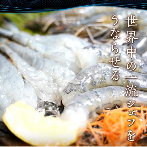 天使の海老 大サイズ1kg 海鮮 有頭 食べごろサイズ お取り寄せ お試し 世界最高品質 刺身 生食 高級 BBQ02