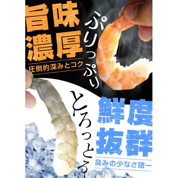 天使の海老 大サイズ1kg 海鮮 有頭 食べごろサイズ お取り寄せ お試し 世界最高品質 刺身 生食 高級 BBQ04