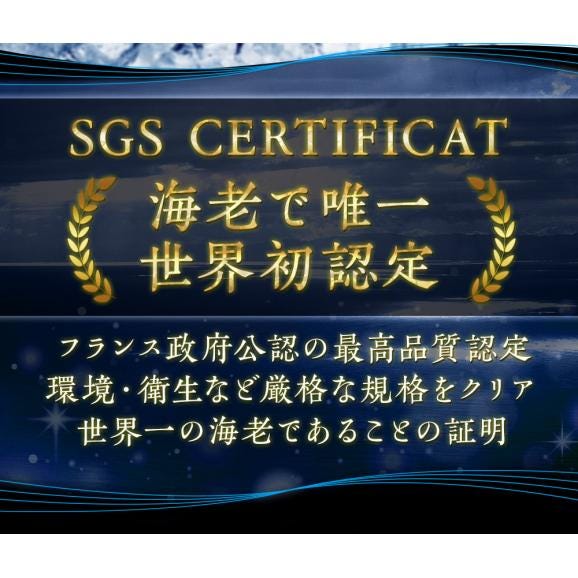 天使の海老 大サイズ1kg 海鮮 有頭 食べごろサイズ お取り寄せ お試し 世界最高品質 刺身 生食 高級 BBQ05