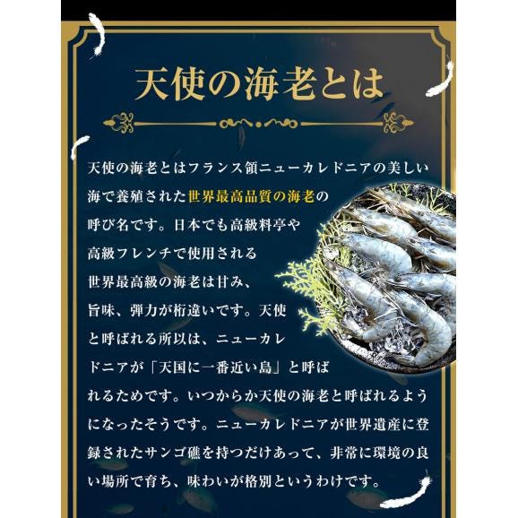 天使の海老 大サイズ1kg 海鮮 有頭 食べごろサイズ お取り寄せ お試し 世界最高品質 刺身 生食 高級 BBQ06