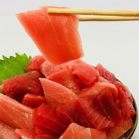 まぐろ マグロ 鮪 訳あり 刺身 メガ盛り 切り落し 500g×3P 送料無料 冷凍 鉄火丼 父の日 敬老 お歳暮 取り寄せ 家飲み 在宅 まぐろ丼 海鮮05