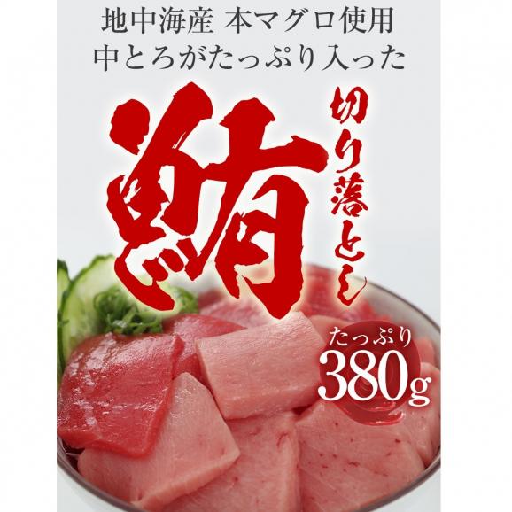 本まぐろ切り落し 380g 冷凍 まぐろ 中とろ 訳あり 送料無料 鮪 刺身 鉄火丼 在宅 母の日 父の日 敬老 在宅応援 中元 お歳暮 ギフト　03