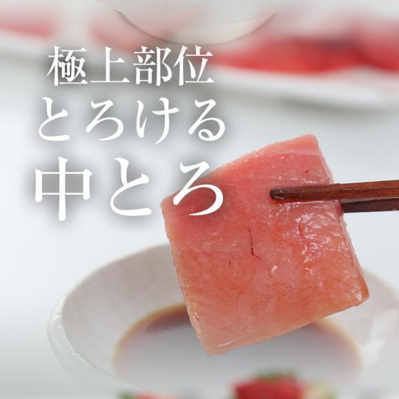 本まぐろ切り落し 380g 冷凍 まぐろ 中とろ 訳あり 送料無料 鮪 刺身 鉄火丼 在宅 母の日 父の日 敬老 在宅応援 中元 お歳暮 ギフト　04