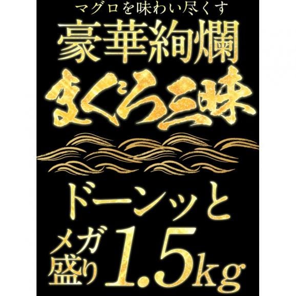 まぐろ三昧 5種 赤身 中トロ 大トロ ほほ肉 メガ盛り1.5kg 送料無料 マグロ 鮪 在宅 母の日 父の日 敬老 在宅応援 中元 お歳暮 ギフト02