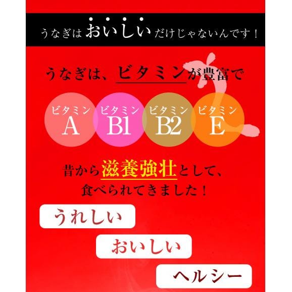 薩摩川内 国産炭火焼 刻みうなぎ蒲焼き 80g×5パック ひつまぶし 在宅 母の日 父の日 敬老 在宅応援 中元 お歳暮 ギフト06