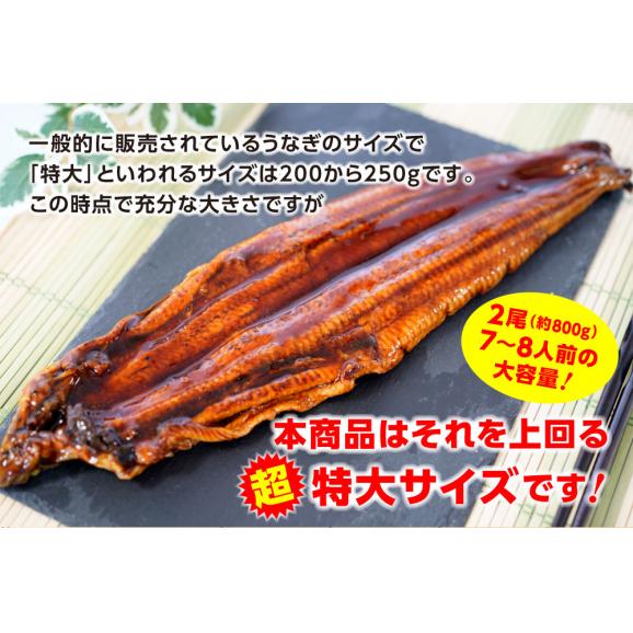うなぎ長焼 380g～400g×2本 炭火焼 訳あり 超ビッグサイズ ウナギ 鰻 在宅 父の日 敬老 在宅応援 中元 お歳暮 化粧箱 ギフト03