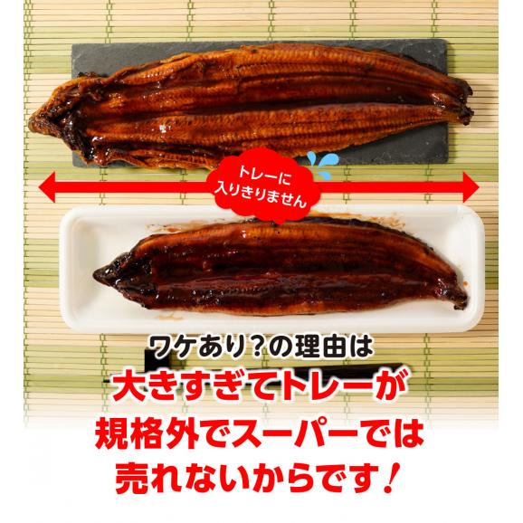 うなぎ長焼 380g～400g×2本 炭火焼 訳あり 超ビッグサイズ ウナギ 鰻 在宅 父の日 敬老 在宅応援 中元 お歳暮 化粧箱 ギフト04