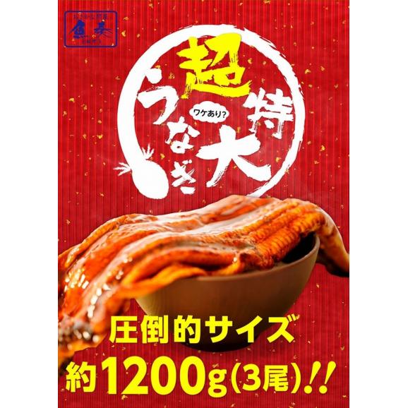 超特大 うなぎ蒲焼 3尾 長焼 約1.2kg（380g～400g×3本 ） 訳あり 蒲焼 ウナギ 鰻 母の日 父の日 土用丑 取り寄せ ギフト02