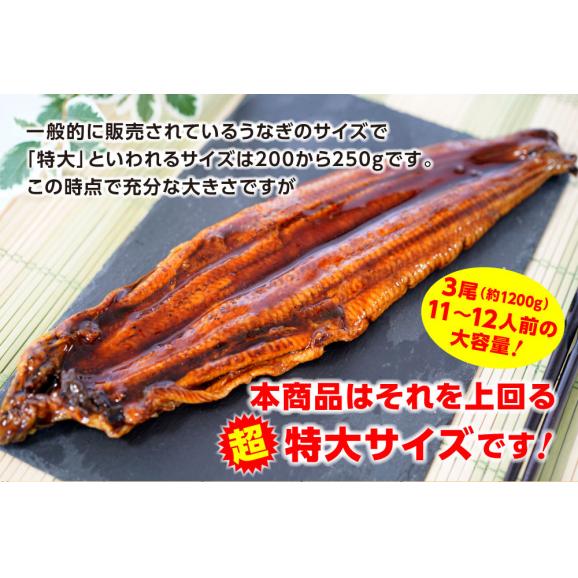 超特大 うなぎ蒲焼 3尾 長焼 約1.2kg（380g～400g×3本 ） 訳あり 蒲焼 ウナギ 鰻 母の日 父の日 土用丑 取り寄せ ギフト03