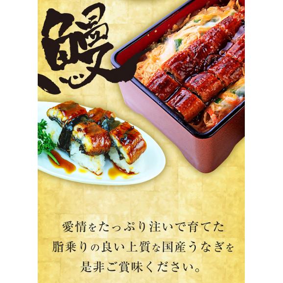 薩摩川内 国産炭火焼カットうなぎ蒲焼き 約80g×3パック 国産うなぎ 在宅 母の日 父の日 敬老 在宅応援 中元 お歳暮 ギフト02