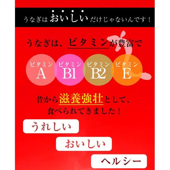 薩摩川内 国産炭火焼カットうなぎ蒲焼き 約80g×3パック 国産うなぎ 在宅 母の日 父の日 敬老 在宅応援 中元 お歳暮 ギフト06