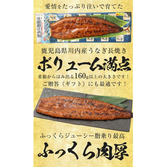 薩摩川内 国産炭火焼うなぎ長焼き 徳大サイズ 約160～170g×3尾 国産うなぎ 在宅 母の日 父の日 敬老 在宅応援 中元 お歳暮 ギフト03