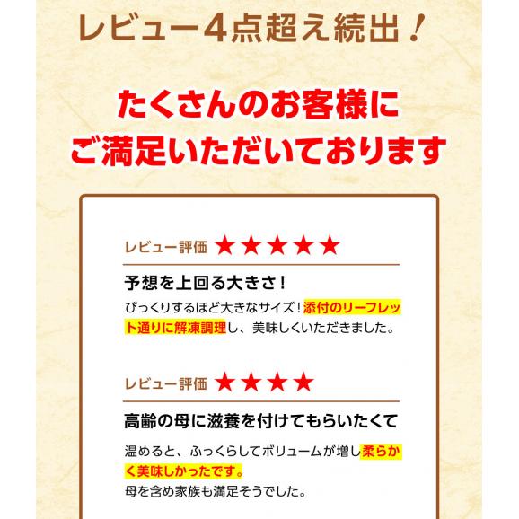 うなぎ蒲焼 切身カット 100g×5P 訳あり 真空パック 自社加工 土用 丑の日 ギフト うなぎ ウナギ 鰻 炭火  母の日 父の日 敬老 歳暮06