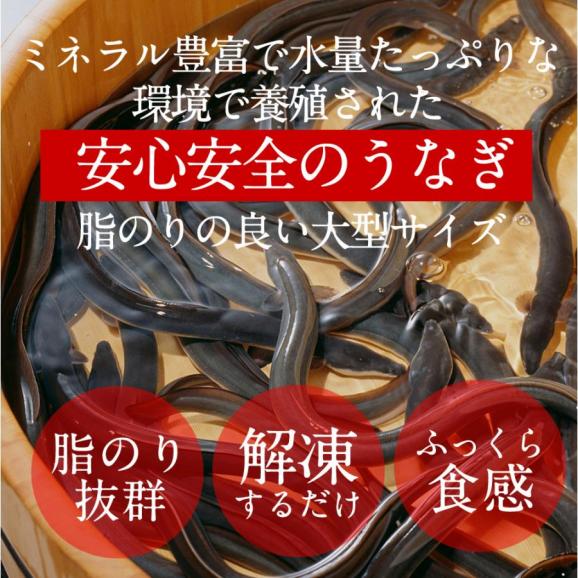 刻みうなぎ 500g 炭火焼 蒲焼 訳あり 送料無料 きざみ 切り落し 端材 ウナギ 鰻 在宅応援 母の日 父の日 敬老 歳暮 ギフト05