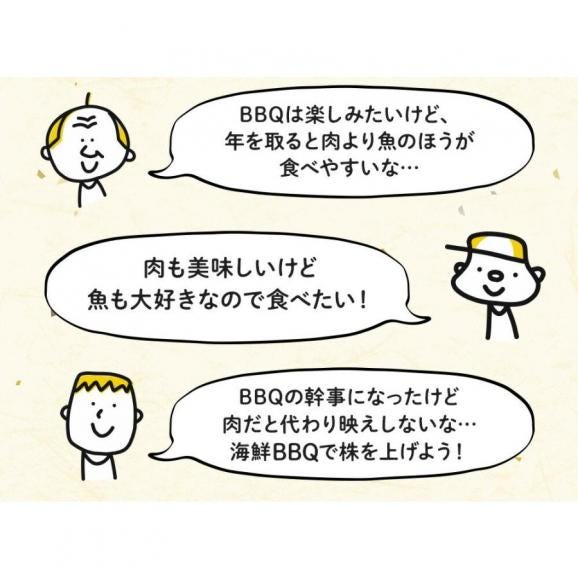 豪華 海鮮 BBQ バーベキューセット 赤エビ 10尾 活アワビ 5個 帆立 10枚 牡蠣 10枚 真イカ一夜干し 10枚 キャンプ 7～10人分 送料無料 06