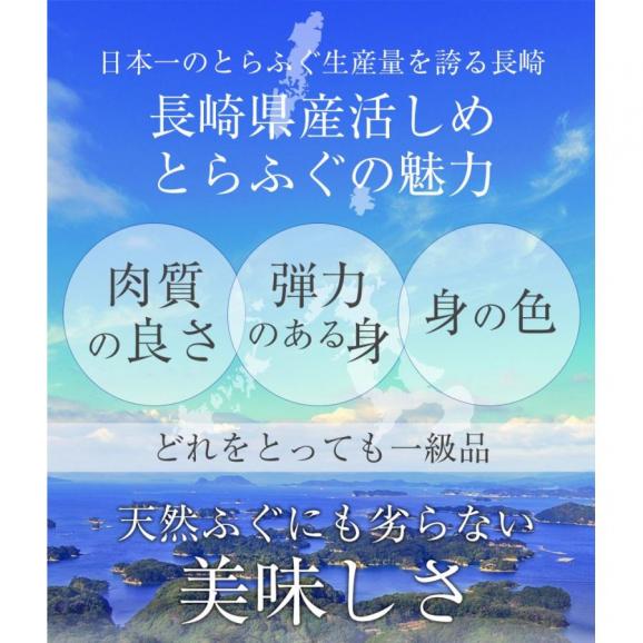 ふぐ刺身2-3人前 てっさ70g ふぐ皮10g もみじおろし ポン酢セット とらふぐ刺し ふぐ トラフグ テッサ 母の日 父の日 取り寄せ ギフト05