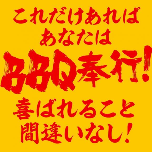 豪華 海鮮 BBQ バーベキューセット 赤エビ 10尾 イカ一夜干し 4枚 殻付き帆立 10枚 ブランド牡蠣 10枚 カンカン焼き用缶・ナイフ・軍手付き キャンプ 6～8人分 送料無料 02