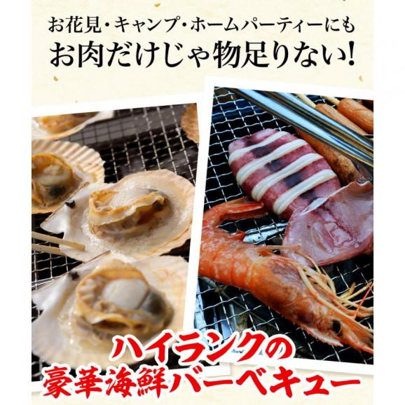 豪華 海鮮 BBQ バーベキューセット 赤エビ 10尾 イカ一夜干し 4枚 殻付き帆立 10枚 ブランド牡蠣 10枚 カンカン焼き用缶・ナイフ・軍手付き キャンプ 6～8人分 送料無料 05