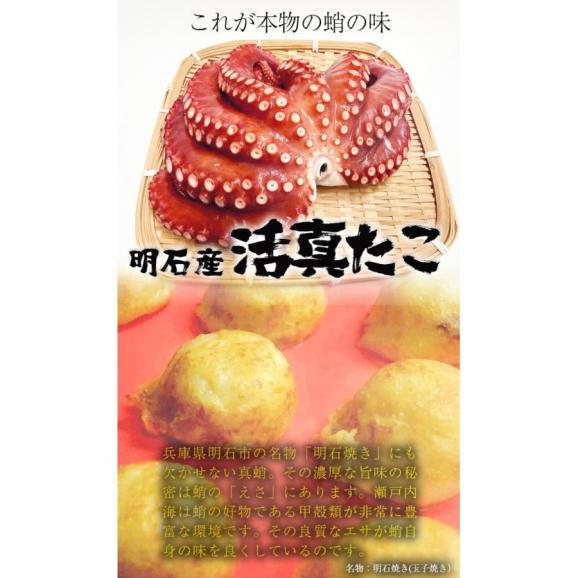 たこ タコ 蛸 明石産 ボイルたこ 500g 足だけ （約4～6本） 送料無料 明石たこ 真たこ 半夏生 中元 お歳暮 ギフト たこ焼き 唐揚げ 瀬戸内海04