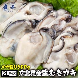 広島産 剥き牡蠣500g（15個前後) 大粒 2L かき カキ 同梱推奨 在宅 母の日 父の日 敬老 在宅応援 中元 お歳暮 ギフト