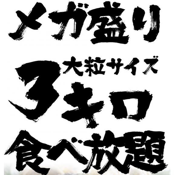 広島産 剥き牡蠣 3kg 大粒 Lサイズ  （解凍後約2.6kg/120個前後) かき カキ 在宅 中元 お歳暮 ギフト　送料無料03