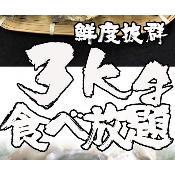 伊勢神宮奉納 殻つき牡蠣 カキ 桃こまち 伊勢湾産 3キロ(約30個)  訳あり 送料無料 カンカン焼き BBQ 牡蠣 ナイフ 軍手付03