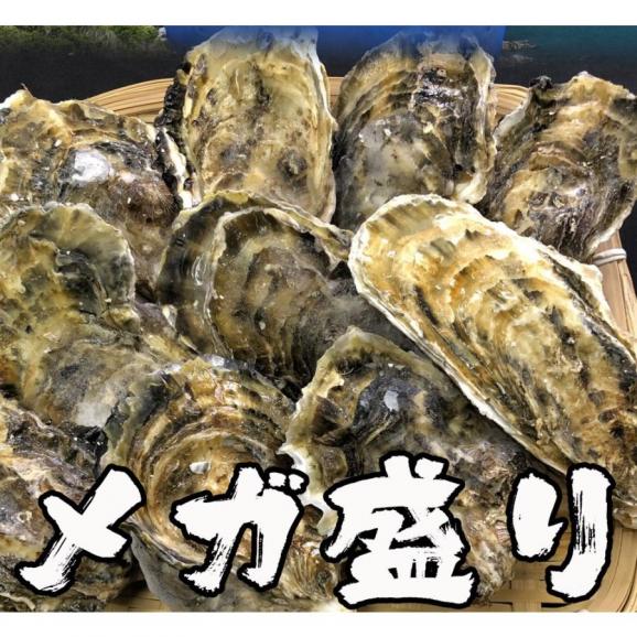 伊勢神宮奉納 殻つき牡蠣 カキ 桃こまち 伊勢湾産 7キロ(約75個)  訳あり 送料無料 カンカン焼き BBQ 牡蠣 ナイフ 軍手付02