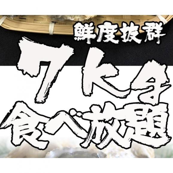 伊勢神宮奉納 殻つき牡蠣 カキ 桃こまち 伊勢湾産 7キロ(約75個)  訳あり 送料無料 カンカン焼き BBQ 牡蠣 ナイフ 軍手付03