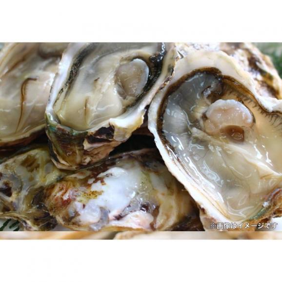 伊勢神宮奉納 殻つき牡蠣 カキ 桃こまち 伊勢湾産 7キロ(約75個)  訳あり 送料無料 カンカン焼き BBQ 牡蠣 ナイフ 軍手付04