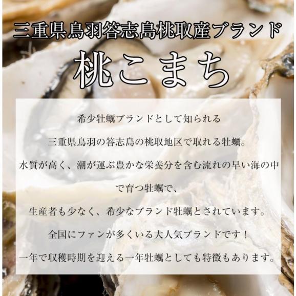 伊勢神宮奉納 殻つき牡蠣 カキ 桃こまち 伊勢湾産 7キロ(約75個)  訳あり 送料無料 カンカン焼き BBQ 牡蠣 ナイフ 軍手付05