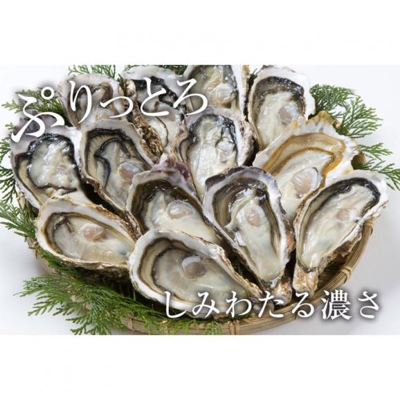 伊勢神宮奉納 殻つき牡蠣 カキ 桃こまち 伊勢湾産 7キロ(約75個)  訳あり 送料無料 カンカン焼き BBQ 牡蠣 ナイフ 軍手付06