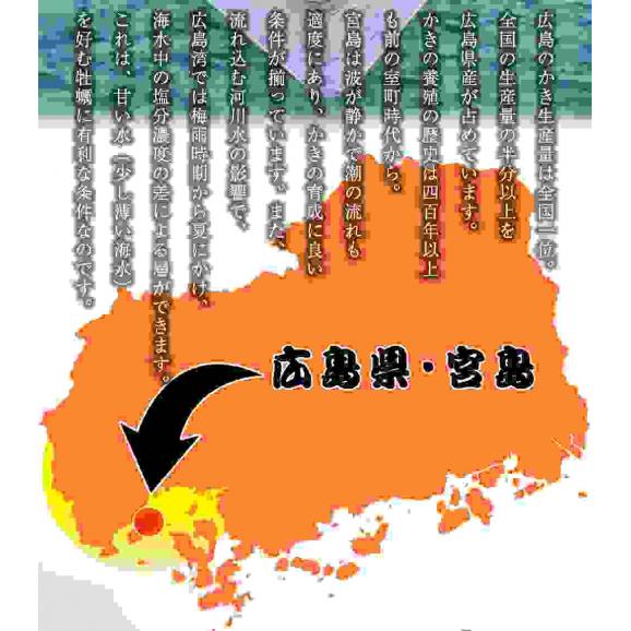 広島産 殻付き牡蠣 訳あり 3キロ(約30個) カンカン焼き カキ かき 宮島 BBQ ナイフ 軍手付 ギフト 取り寄せ02