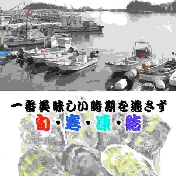 広島産 殻付き牡蠣 訳あり 3キロ(約30個) カンカン焼き カキ かき 宮島 BBQ ナイフ 軍手付 ギフト 取り寄せ03