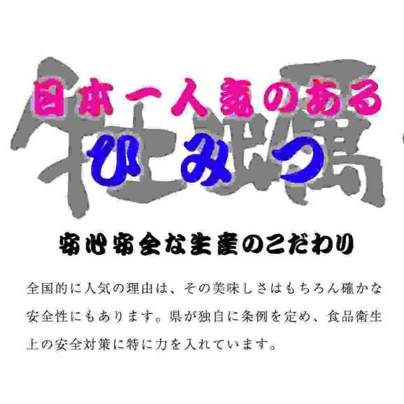 広島産 殻付き牡蠣 訳あり 3キロ(約30個) カンカン焼き カキ かき 宮島 BBQ ナイフ 軍手付 ギフト 取り寄せ05