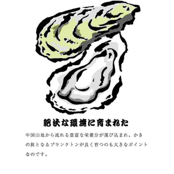 広島産 殻付き牡蠣 訳あり 3キロ(約30個) カンカン焼き カキ かき 宮島 BBQ ナイフ 軍手付 ギフト 取り寄せ06