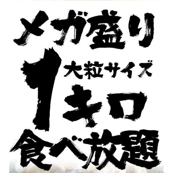 広島産 剥き牡蠣1kg（30個前後) 大粒 2L かき カキ 送料無料 在宅 中元 お歳暮 ギフト02