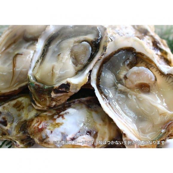 広島産 剥き牡蠣1kg（30個前後) 大粒 2L かき カキ 送料無料 在宅 中元 お歳暮 ギフト03
