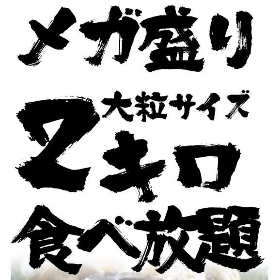 広島産 剥き牡蠣2kg（60個前後) 大粒 2L かき カキ 送料無料 在宅  中元 お歳暮 ギフト02
