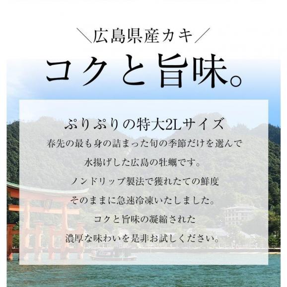 広島産 剥き牡蠣2kg（60個前後) 大粒 2L かき カキ 送料無料 在宅  中元 お歳暮 ギフト03