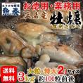 広島産 剥き牡蠣3kg（100個前後) 大粒 2Lサイズ かき カキ 送料無料 在宅 中元 お歳暮 ギフト