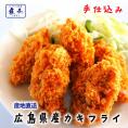 広島県産 牡蠣フライ 20粒入 かき カキフライ 500g 大粒 手仕込み 約25g×20個 袋ノ内 国産 産直 産地直送 北吉水産 送料無料 