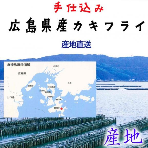 広島県産 牡蠣フライ 20粒入 かき カキフライ 500g 大粒 手仕込み 約25g×20個 袋ノ内 国産 産直 産地直送 北吉水産 送料無料 02