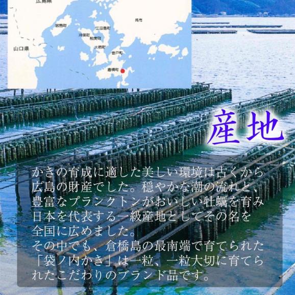 広島県産 牡蠣フライ 20粒入 かき カキフライ 500g 大粒 手仕込み 約25g×20個 袋ノ内 国産 産直 産地直送 北吉水産 送料無料 03