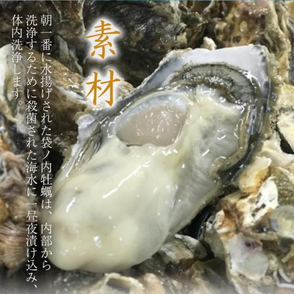 広島県産 牡蠣フライ 20粒入 かき カキフライ 500g 大粒 手仕込み 約25g×20個 袋ノ内 国産 産直 産地直送 北吉水産 送料無料 04