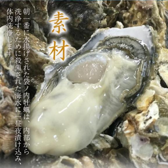 広島県産 牡蠣フライ 20粒入 かき カキフライ 500g 大粒 手仕込み 産直 同梱推奨 約25g×20個 袋ノ内 国産 安心 取り寄せ 産地直送 北吉水産04