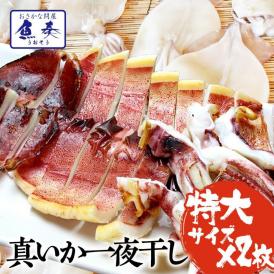 真いか 一夜干し 特大サイズ2枚 国内産 スルメイカ 烏賊 やわらか 在宅 母の日 父の日 敬老 中元 お歳暮 ギフト