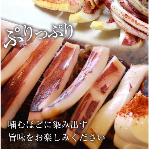 真いか 一夜干し 特大サイズ2枚 国内産 スルメイカ 烏賊 やわらか 在宅 母の日 父の日 敬老 中元 お歳暮 ギフト05